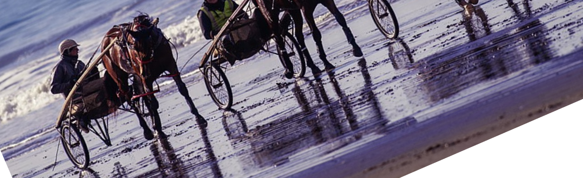 Horses with Carriages On Beach
