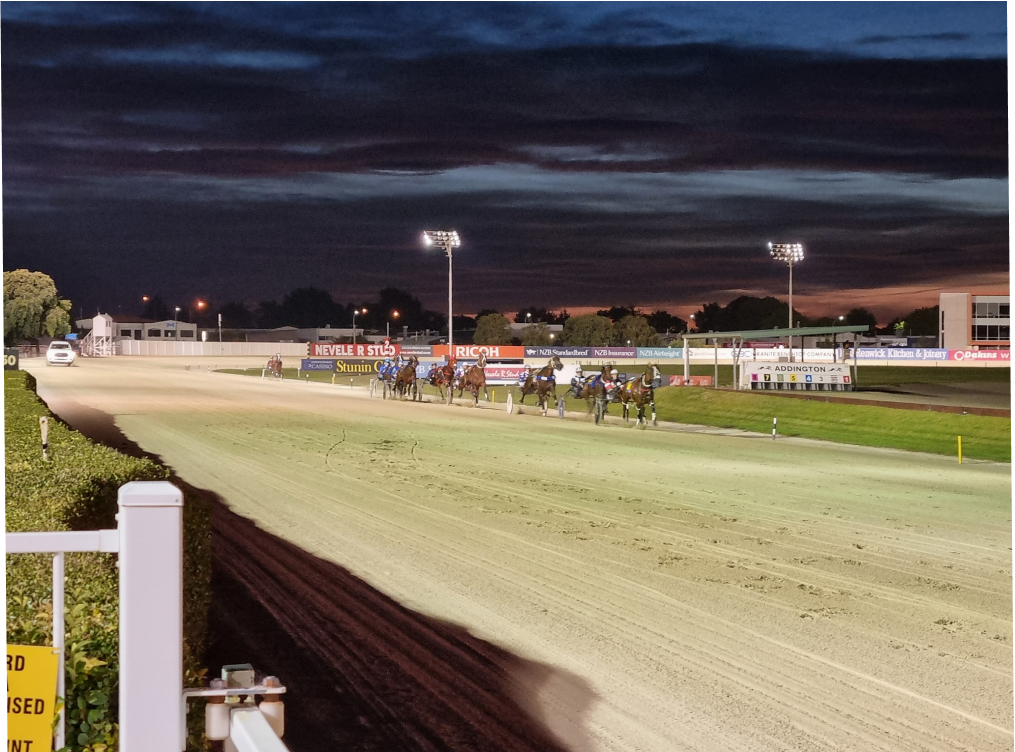 Horse Raceway Track At Dusk